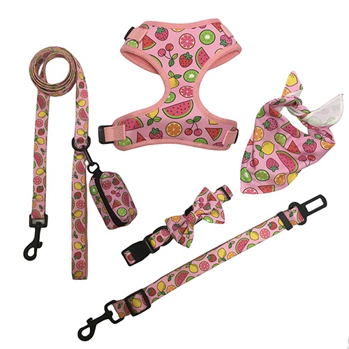 Neoprene Dog Harness Set