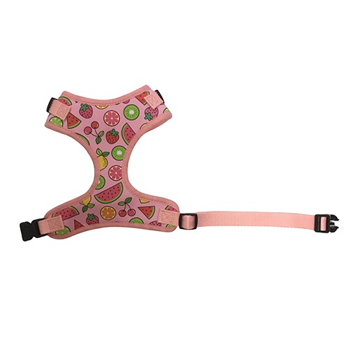 Neoprene Dog Harness Set