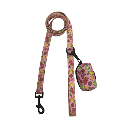 Neoprene Dog Harness Set