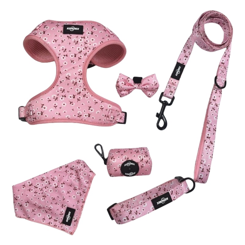 Neoprene Dog Harness Set