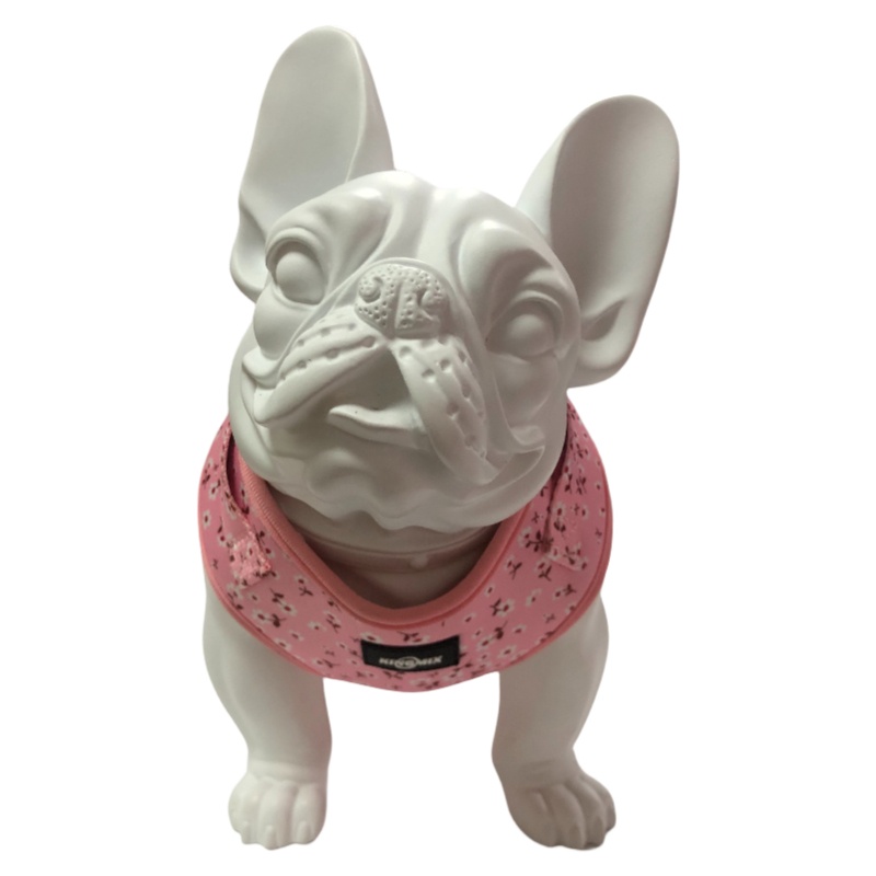 Neoprene Dog Harness Set