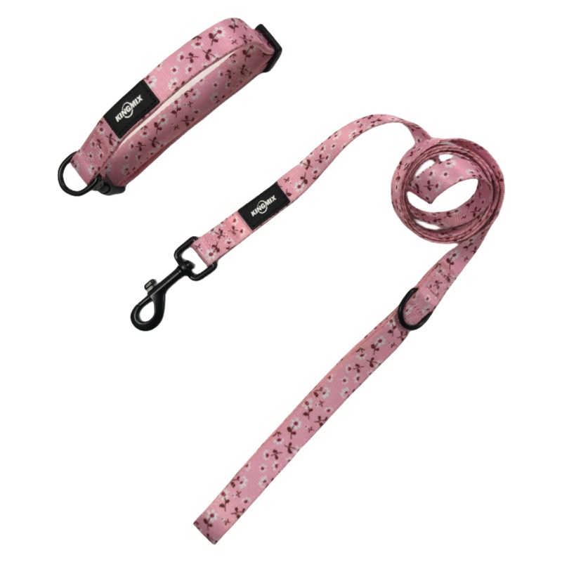 Neoprene Dog Harness Set