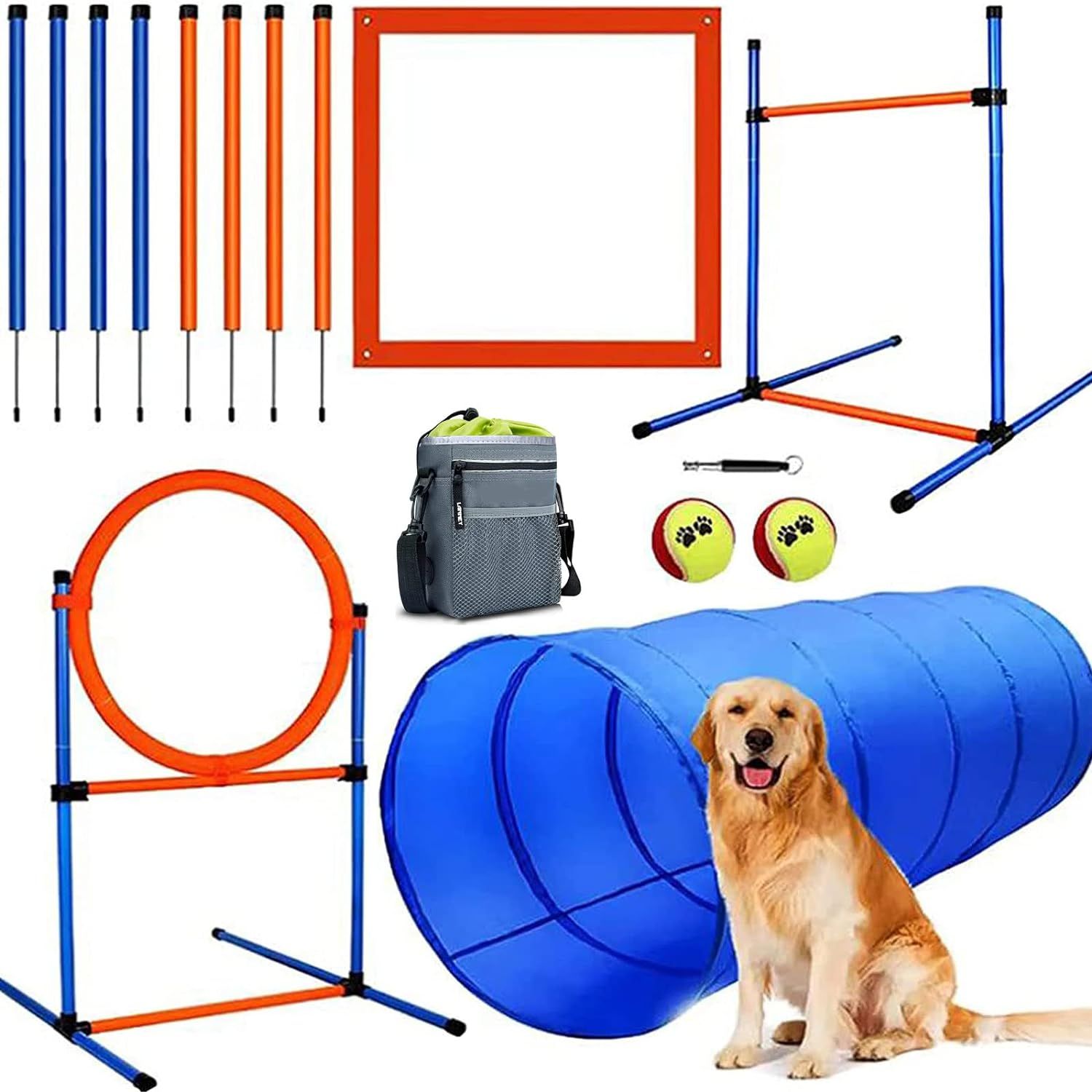 Dog Agility Course
