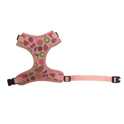 Neoprene Dog Harness Set