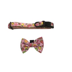 Neoprene Dog Harness Set